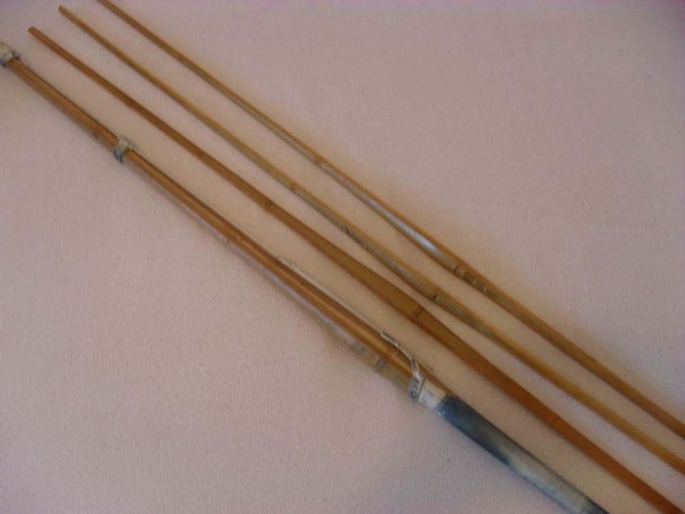 Shinai plus 3 passende Wechselstreben.JPG